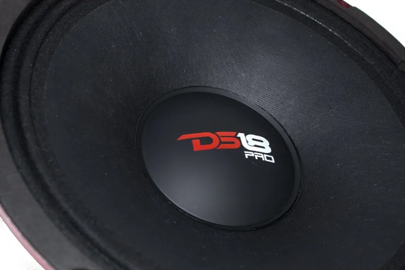 DS18 Speaker Review