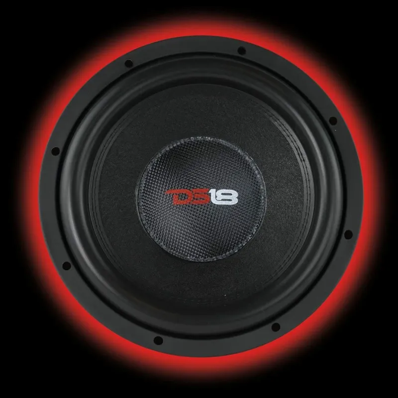 DS18 Speaker Review