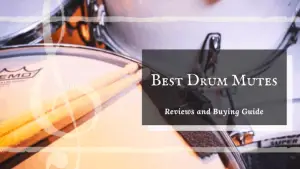 Best Drum Mutes