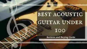 best acoustic guitar under 100