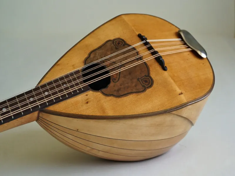 10 string mandolin