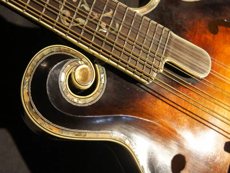 10 string mandolin