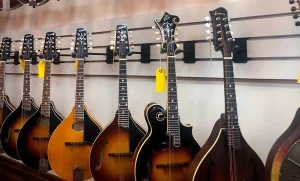 best mandolin strings