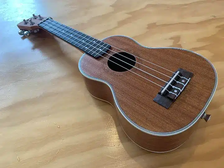 best ukulele brands for beginners