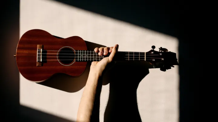 best ukulele brands for beginners