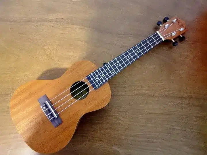 best ukulele brands for beginners